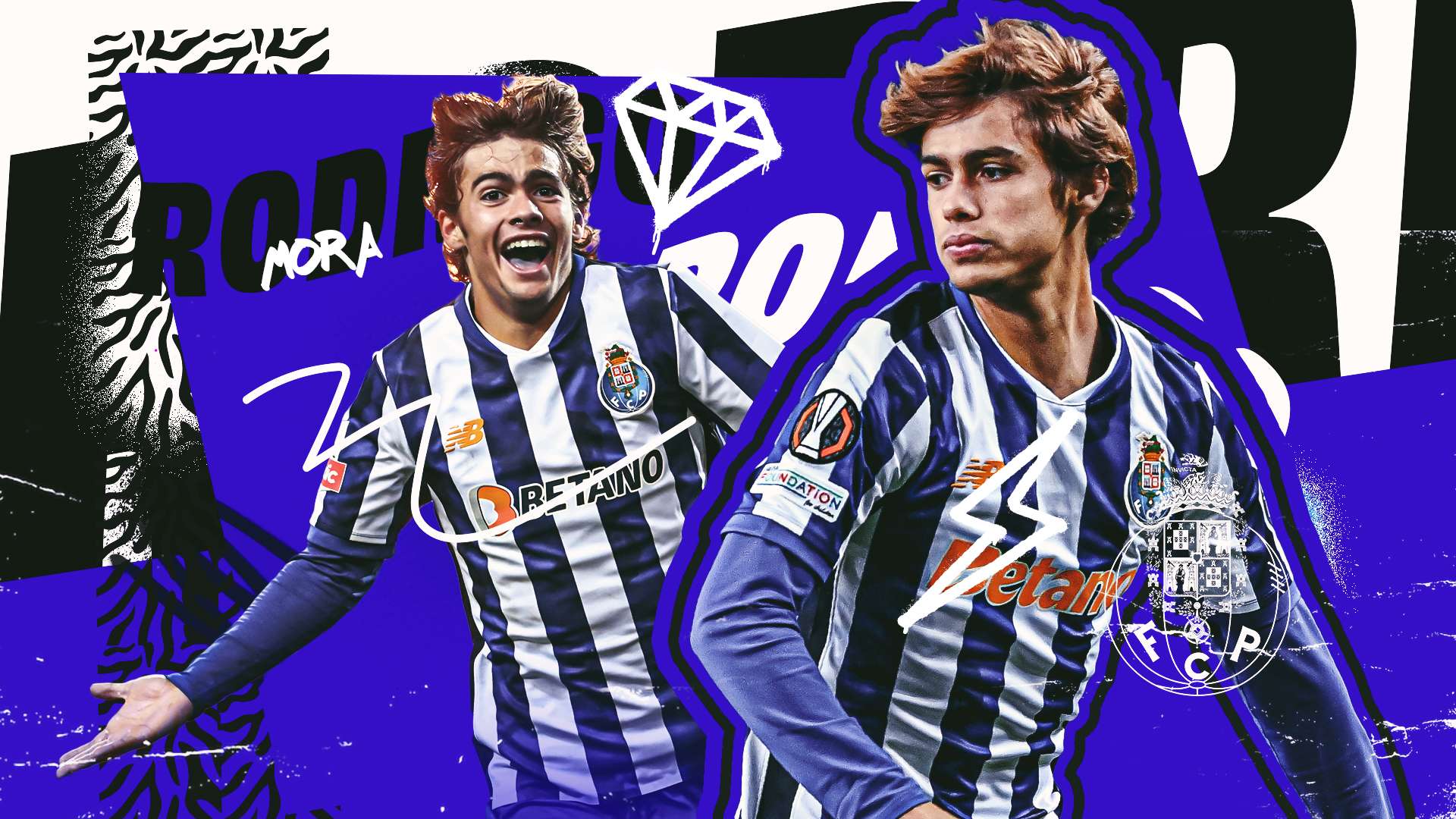 向组织和经 向组织和经